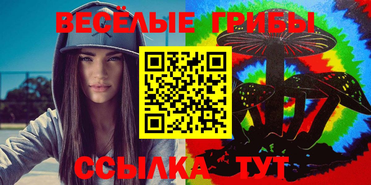 Псилоцибиновые грибы мухоморы Новокубанск