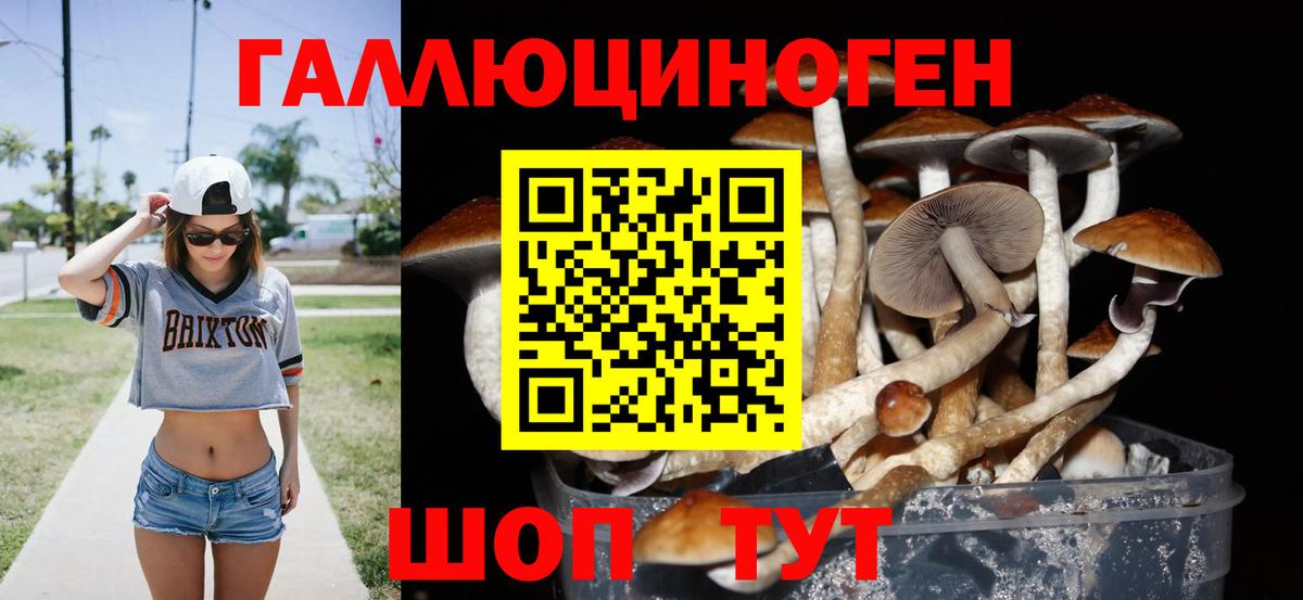 Новокубанск  Псилоцибиновые грибы прущие грибы  Псилоцибиновые грибы мицелий  Вход с VPN 